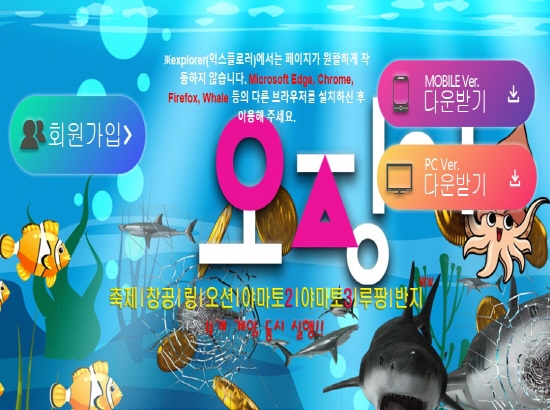 올벳매거진